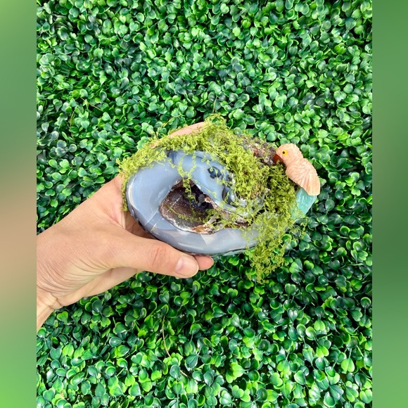 Parrot carving on Agate Geode - Picture 4 of 7